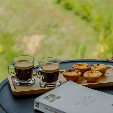 Dajas Douro Valley - Exclusive Sande (Sao Clemente)