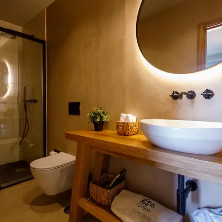 Dajas Douro Valley - Exclusive Casais (Viseu)