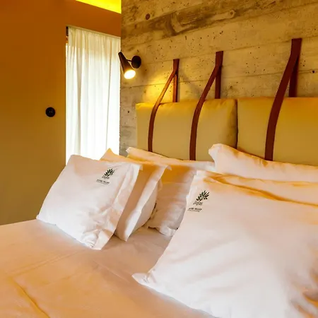 Alojamento de Turismo Rural Dajas Douro Valley - Exclusive