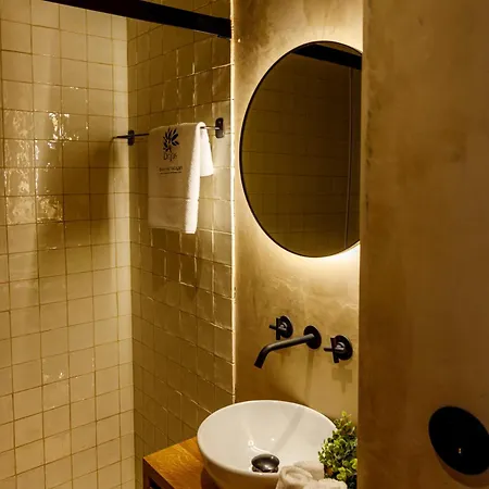 Alojamento de Turismo Rural Dajas Douro Valley - Exclusive *