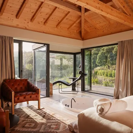 Dajas Douro Valley - Exclusive Alojamento de Turismo Rural Casais (Viseu)