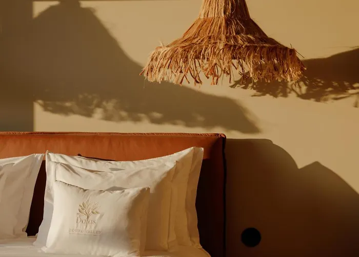 Dajas Douro Valley - Exclusive 农家乐 Sande (Sao Clemente)